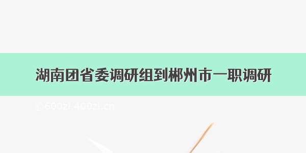 湖南团省委调研组到郴州市一职调研