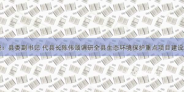 东营广饶：县委副书记 代县长陈伟颂调研全县生态环境保护重点项目建设推进情况