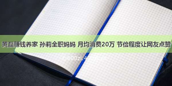 黄磊赚钱养家 孙莉全职妈妈 月均消费20万 节俭程度让网友点赞