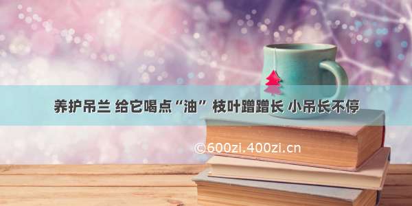 养护吊兰 给它喝点“油” 枝叶蹭蹭长 小吊长不停