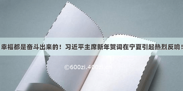 幸福都是奋斗出来的！习近平主席新年贺词在宁夏引起热烈反响！