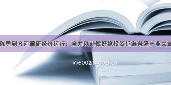 陈勇到齐河调研经济运行：全力以赴做好稳投资延链条强产业文章