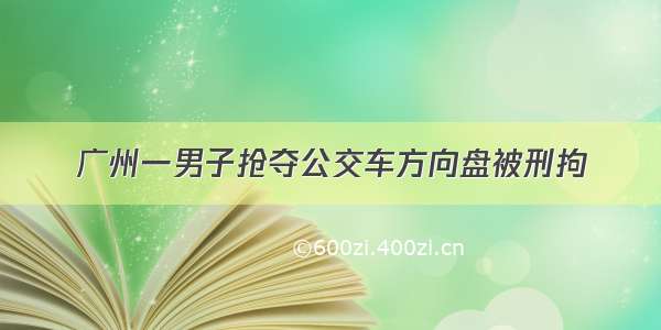 广州一男子抢夺公交车方向盘被刑拘