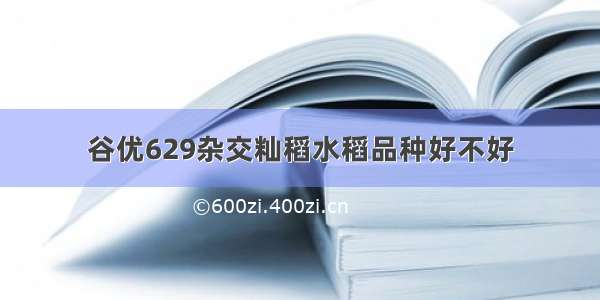 谷优629杂交籼稻水稻品种好不好