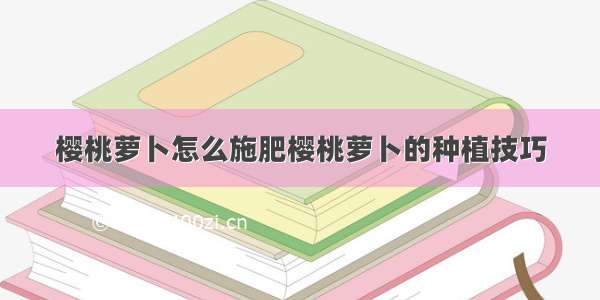 樱桃萝卜怎么施肥樱桃萝卜的种植技巧