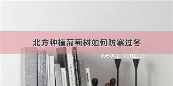 北方种植葡萄树如何防寒过冬