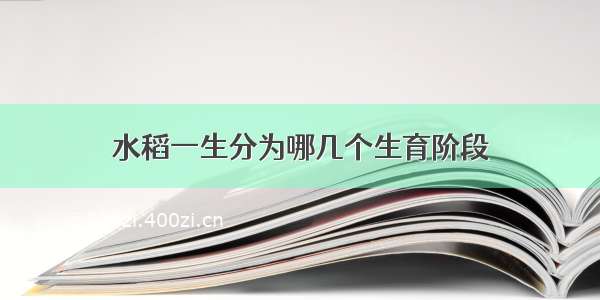 水稻一生分为哪几个生育阶段