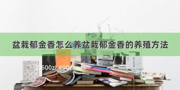 盆栽郁金香怎么养盆栽郁金香的养殖方法