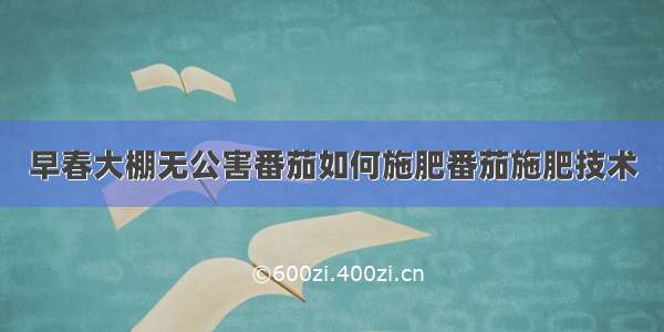 早春大棚无公害番茄如何施肥番茄施肥技术