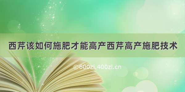 西芹该如何施肥才能高产西芹高产施肥技术