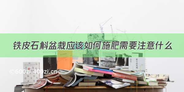 铁皮石斛盆栽应该如何施肥需要注意什么