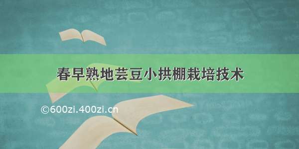 春早熟地芸豆小拱棚栽培技术