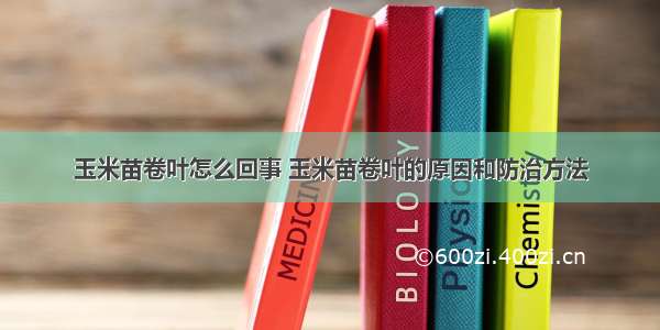 玉米苗卷叶怎么回事 玉米苗卷叶的原因和防治方法