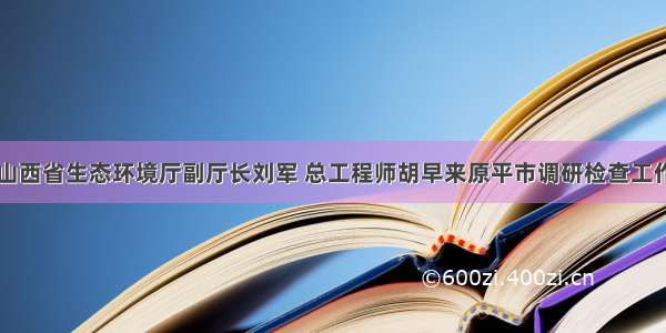 山西省生态环境厅副厅长刘军 总工程师胡早来原平市调研检查工作