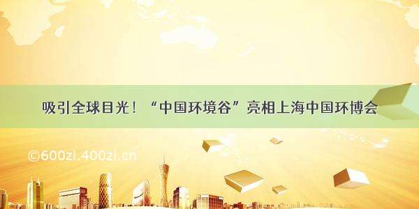 吸引全球目光！“中国环境谷”亮相上海中国环博会