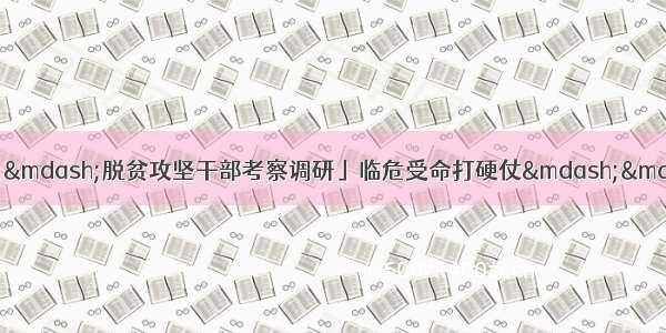 「脱贫攻坚群英谱——脱贫攻坚干部考察调研」临危受命打硬仗——记溆浦县扶贫办党组书