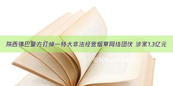 陕西镇巴警方打掉一特大非法经营烟草网络团伙 涉案1.3亿元