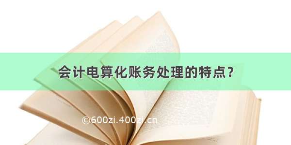 会计电算化账务处理的特点？