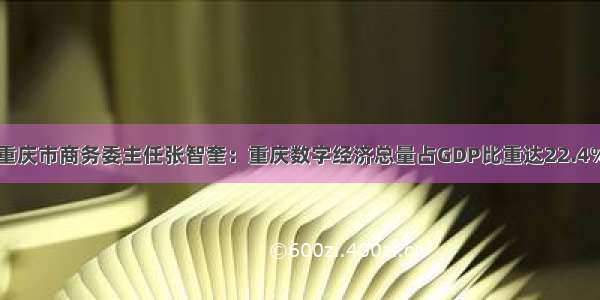 重庆市商务委主任张智奎：重庆数字经济总量占GDP比重达22.4%