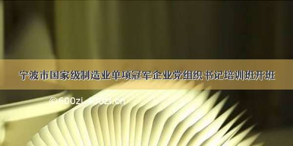 宁波市国家级制造业单项冠军企业党组织书记培训班开班