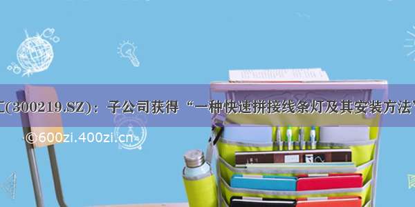 鸿利智汇(300219.SZ)：子公司获得“一种快速拼接线条灯及其安装方法”专利权