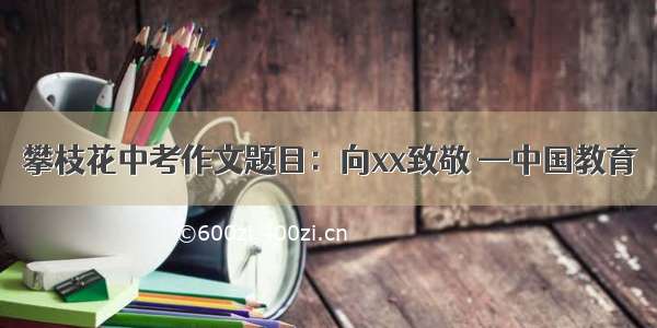 攀枝花中考作文题目：向xx致敬 —中国教育