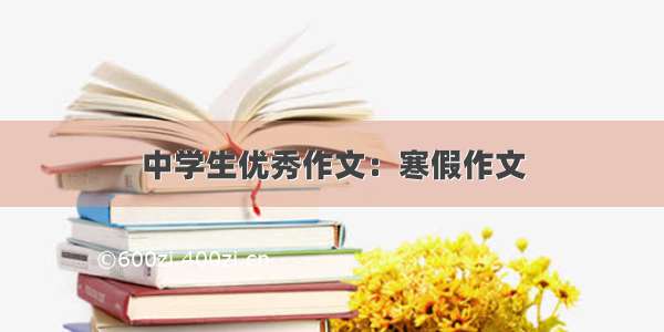 中学生优秀作文：寒假作文