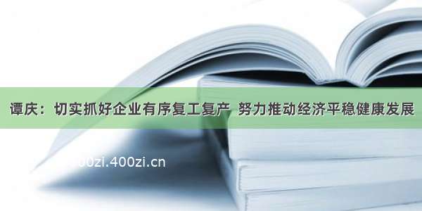 谭庆：切实抓好企业有序复工复产  努力推动经济平稳健康发展