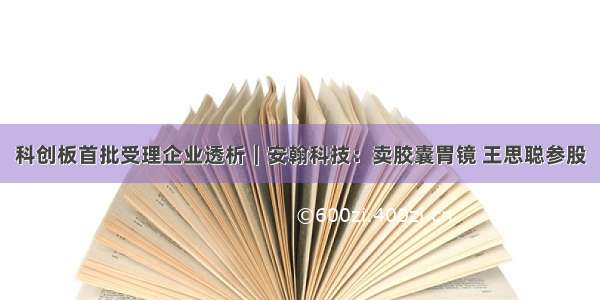 科创板首批受理企业透析｜安翰科技：卖胶囊胃镜 王思聪参股