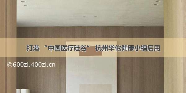 打造 “中国医疗硅谷” 杭州华佗健康小镇启用