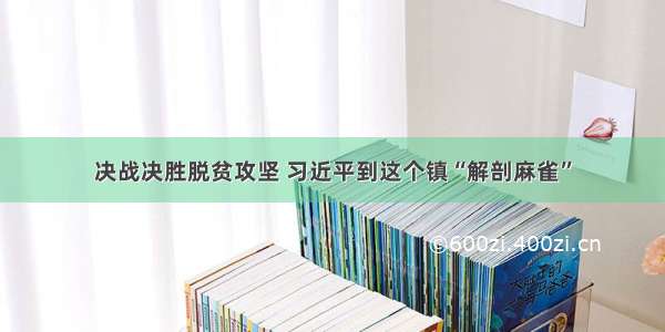 决战决胜脱贫攻坚 习近平到这个镇“解剖麻雀”