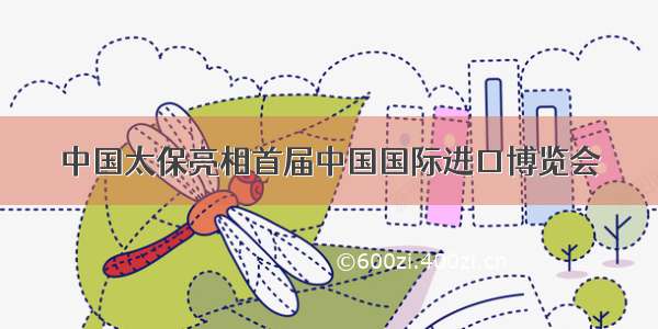 中国太保亮相首届中国国际进口博览会