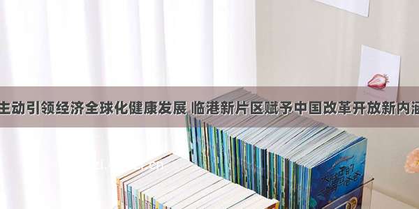 主动引领经济全球化健康发展 临港新片区赋予中国改革开放新内涵