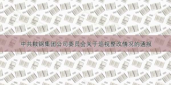 中共鞍钢集团公司委员会关于巡视整改情况的通报