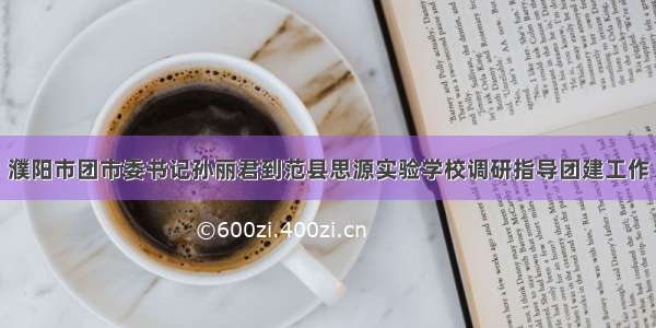 濮阳市团市委书记孙丽君到范县思源实验学校调研指导团建工作