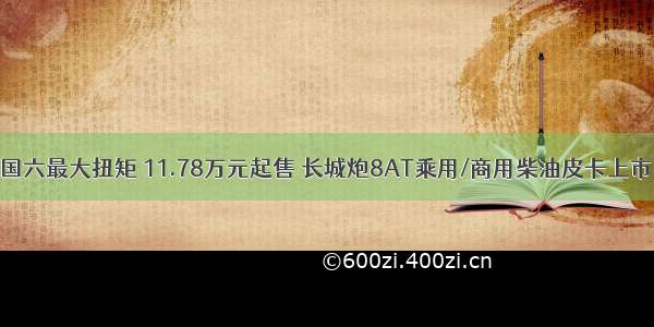 国六最大扭矩 11.78万元起售 长城炮8AT乘用/商用柴油皮卡上市