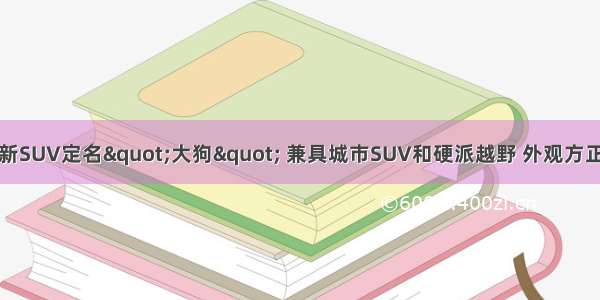 哈弗全新SUV定名&quot;大狗&quot; 兼具城市SUV和硬派越野 外观方正有气势