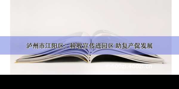 泸州市江阳区：税收宣传进园区 助复产促发展