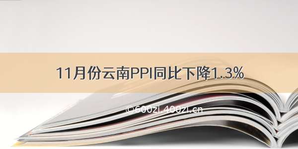 11月份云南PPI同比下降1.3%