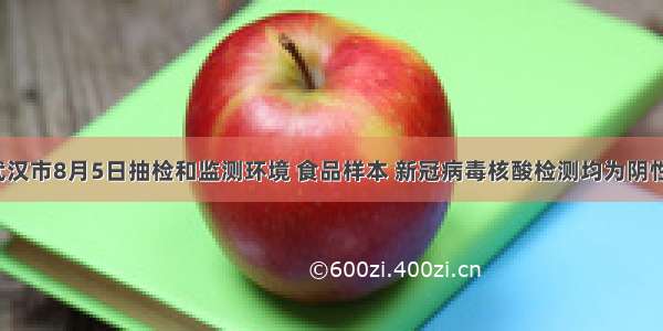 武汉市8月5日抽检和监测环境 食品样本 新冠病毒核酸检测均为阴性！