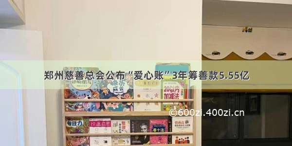 郑州慈善总会公布“爱心账”3年筹善款5.55亿