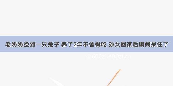 老奶奶捡到一只兔子 养了2年不舍得吃 孙女回家后瞬间呆住了