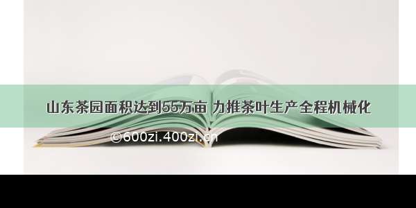 山东茶园面积达到55万亩 力推茶叶生产全程机械化