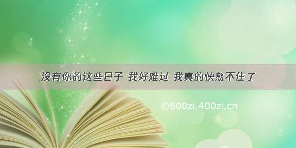 没有你的这些日子 我好难过 我真的快熬不住了