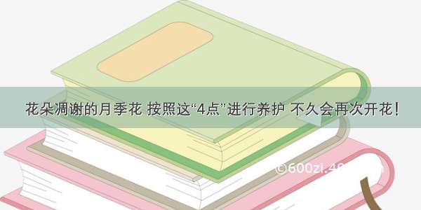 花朵凋谢的月季花 按照这“4点”进行养护 不久会再次开花！