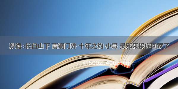 沙海 :长白山下 青铜门外 十年之约 小哥 吴邪来接你回家了