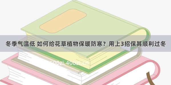 冬季气温低 如何给花草植物保暖防寒？用上3招保其顺利过冬