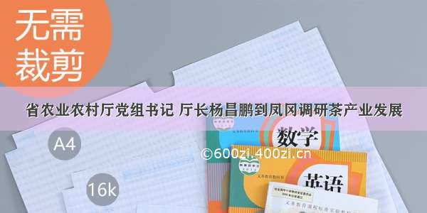 省农业农村厅党组书记 厅长杨昌鹏到凤冈调研茶产业发展