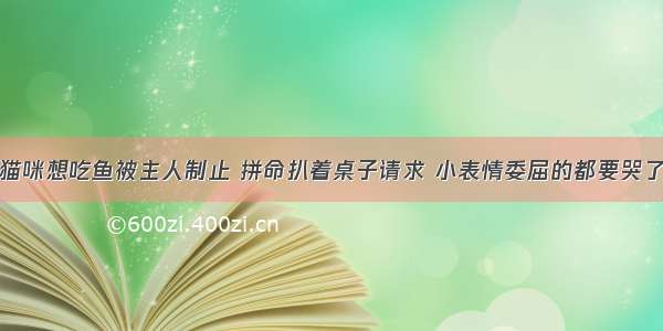 猫咪想吃鱼被主人制止 拼命扒着桌子请求 小表情委屈的都要哭了