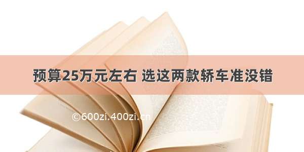 预算25万元左右 选这两款轿车准没错